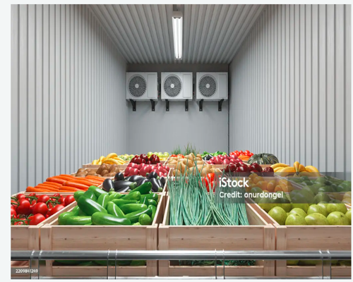 Vegetable Processing